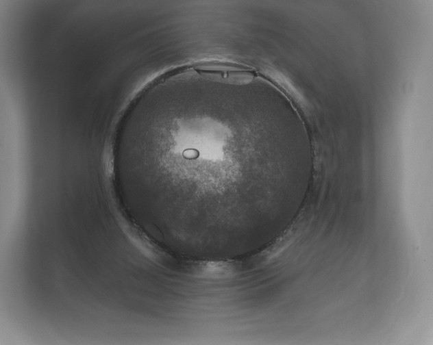 X0000112430060200908211209
