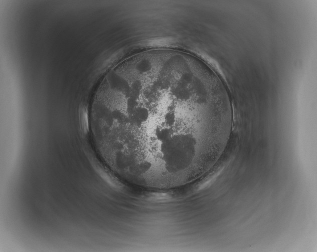X0000112430061200908211209