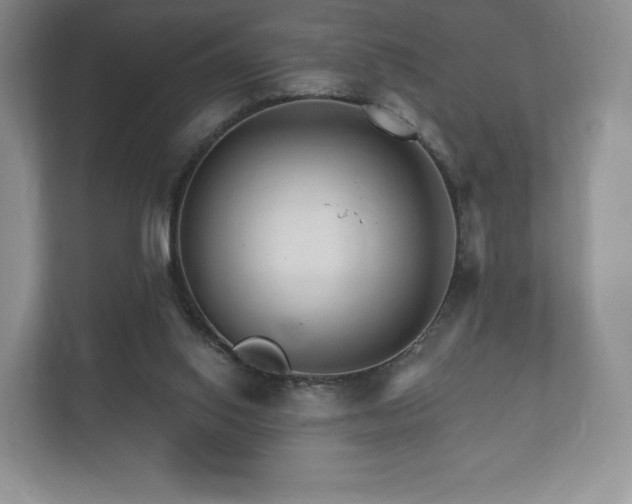 X0000112430062200908211209