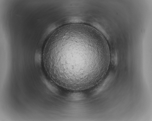 X0000112430063200908211209