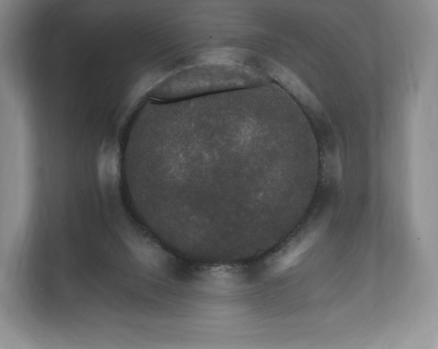 X0000112430064200908211209