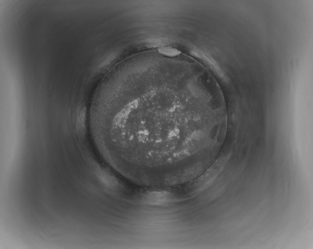 X0000112430066200908211209
