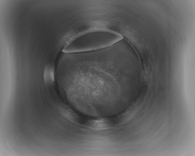 X0000112430068200908211209