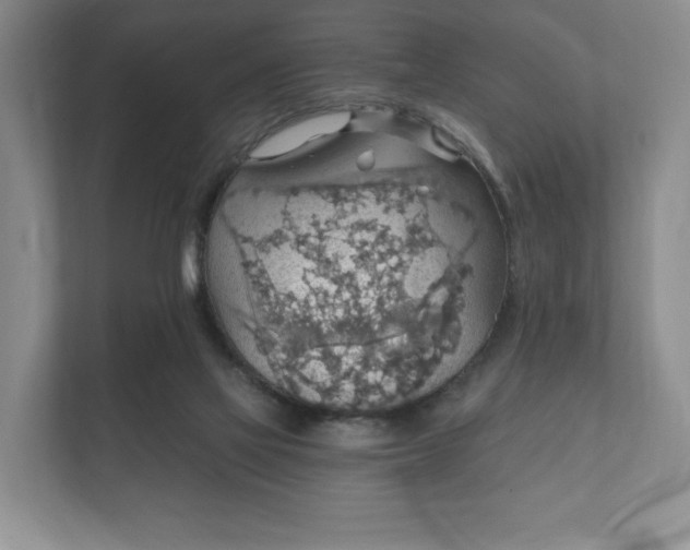 X0000112430069200908211209