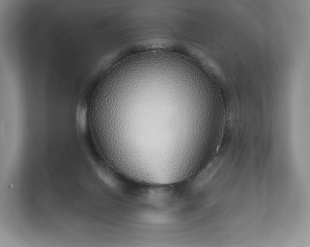 X0000112430070200908211209