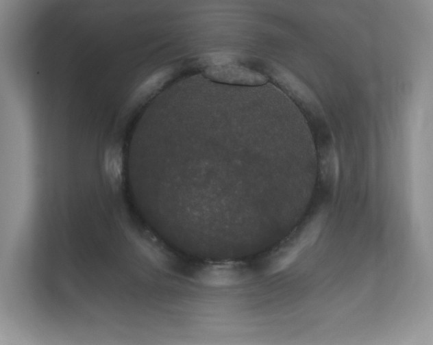 X0000112430072200908211209