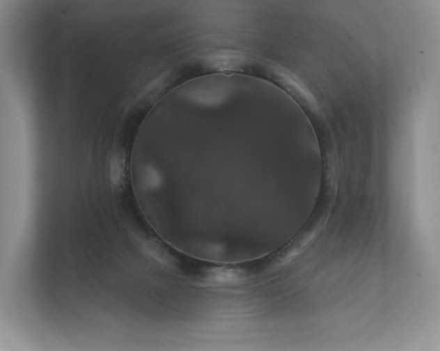 X0000112430073200908211209