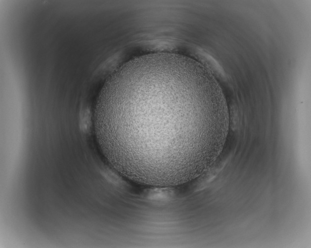 X0000112430077200908211209