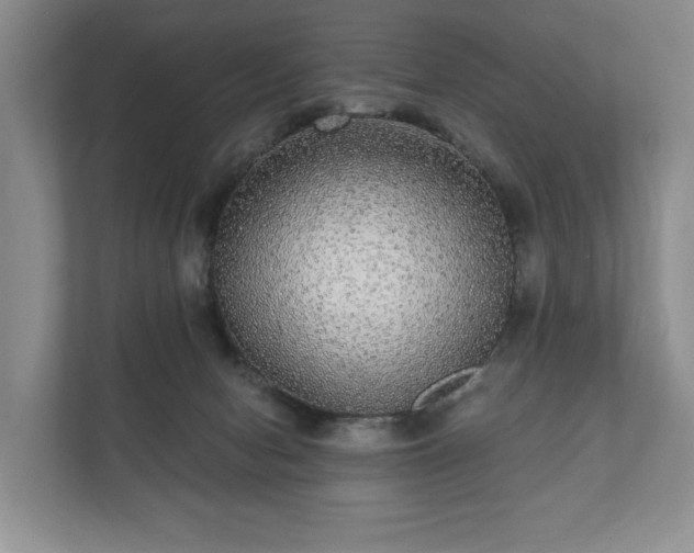 X0000112430078200908211209
