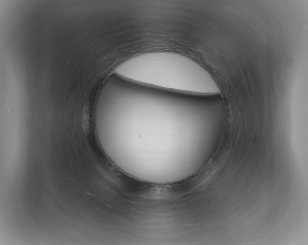 X0000112430080200908211209