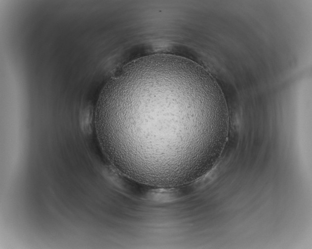 X0000112430082200908211209