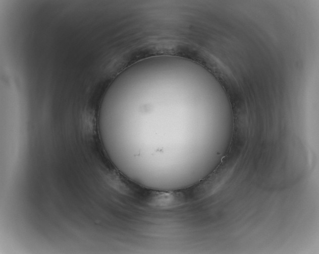 X0000112430083200908211209