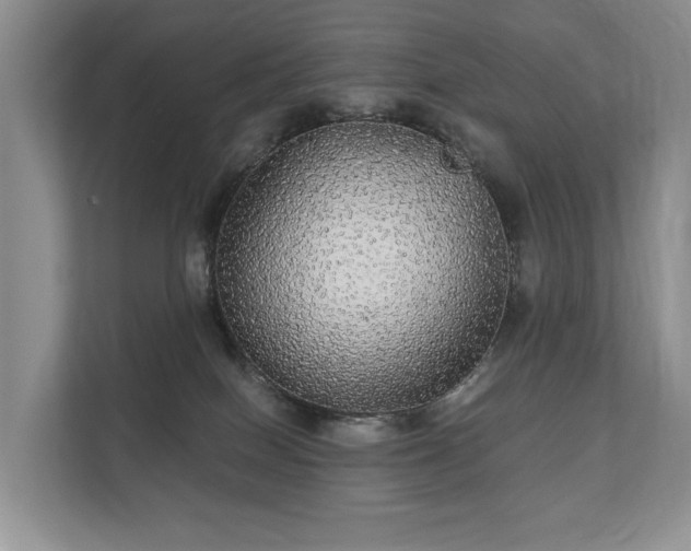 X0000112430086200908211209