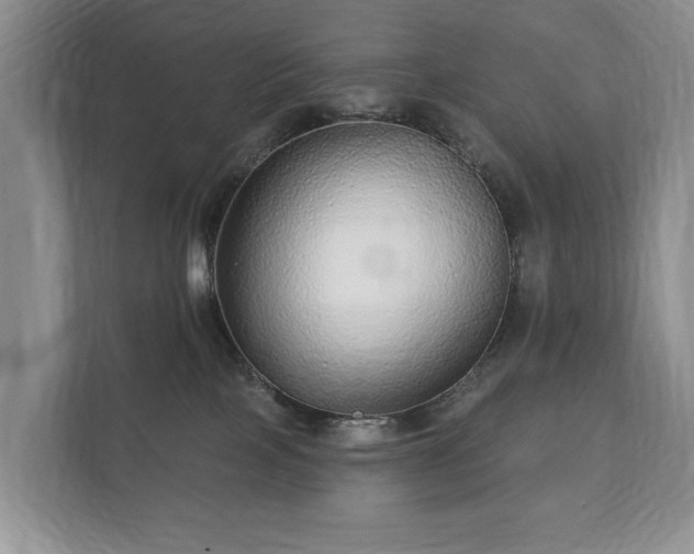 X0000112430089200908211209