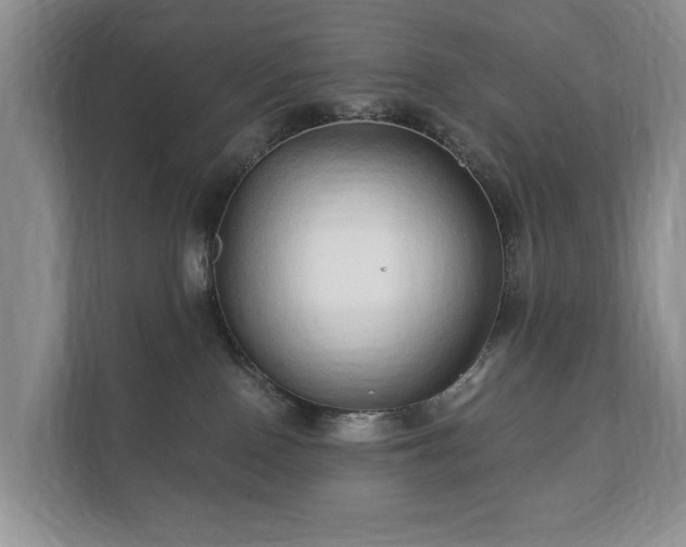 X0000112430090200908211209