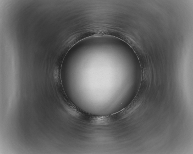 X0000112430092200908211209