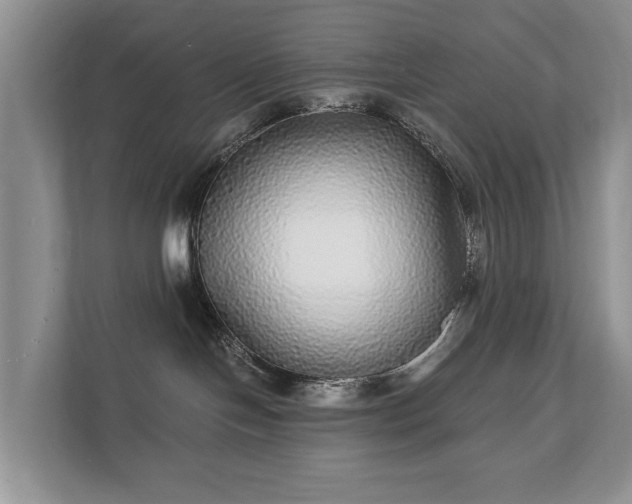 X0000112430094200908211209