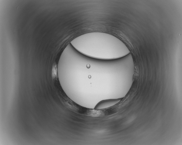 X0000112430095200908211209
