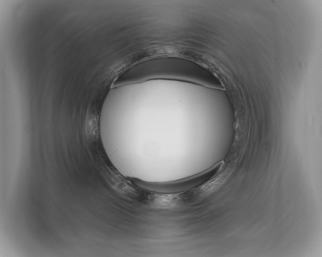 X0000112430096200908211209