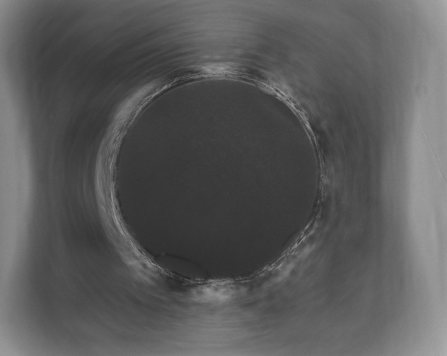 X0000112430097200908211209