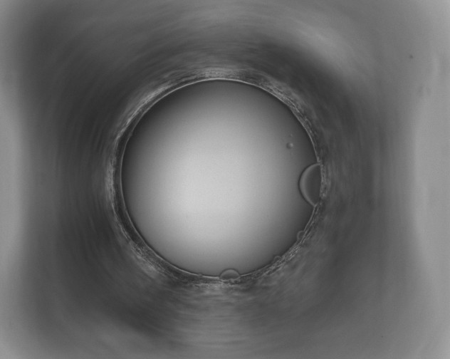 X0000112430098200908211209