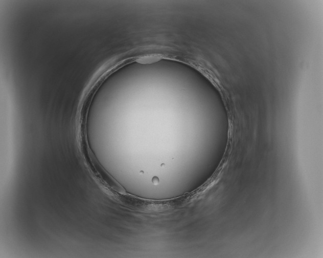 X0000112430101200908211209