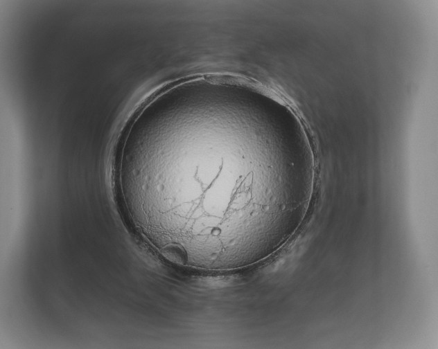 X0000112430103200908211209