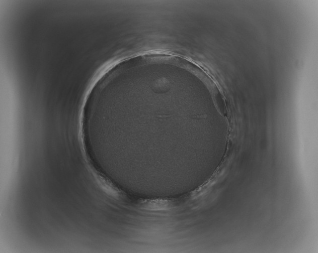 X0000112430104200908211209