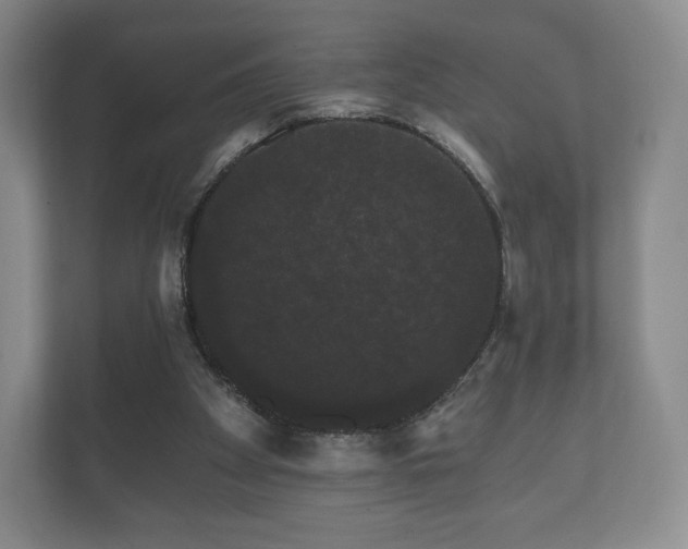 X0000112430105200908211209