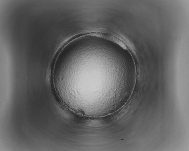 X0000112430107200908211209