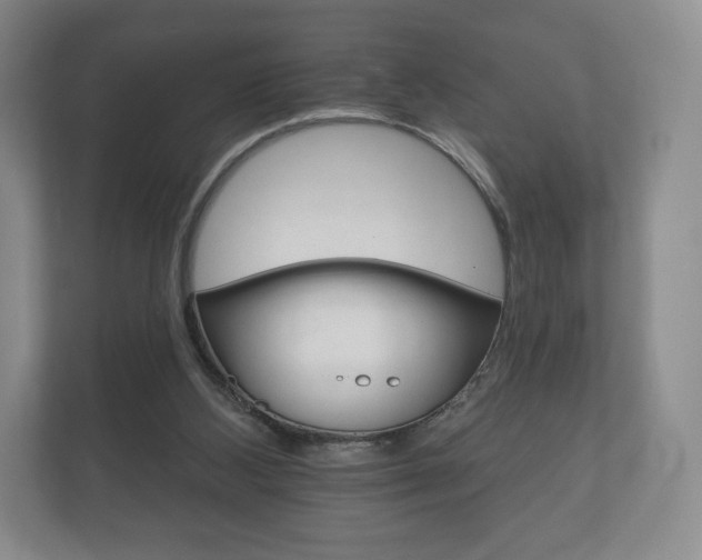 X0000112430108200908211209