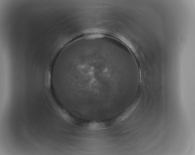 X0000112430109200908211209