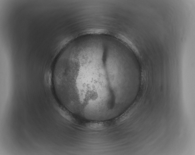 X0000112430110200908211209