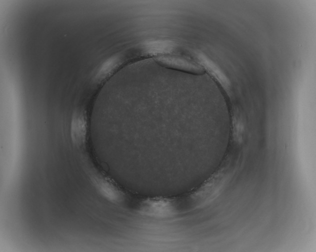 X0000112430113200908211208