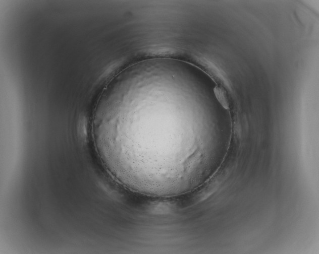 X0000112430115200908211208