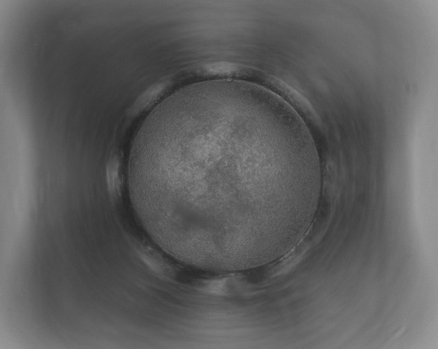 X0000112430116200908211208