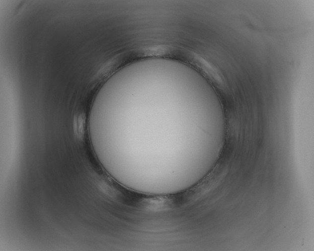 X0000112430118200908211208