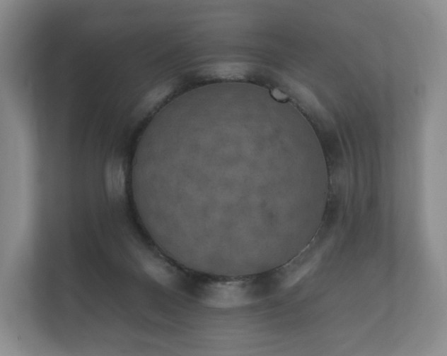 X0000112430120200908211208