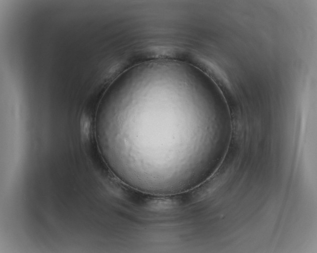 X0000112430123200908211208