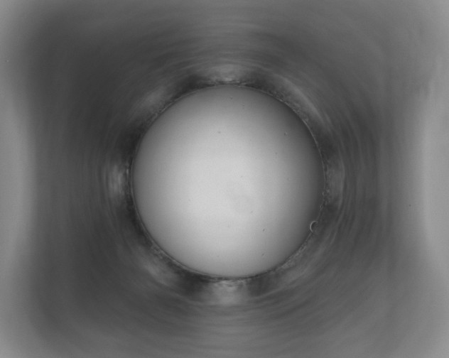 X0000112430126200908211208