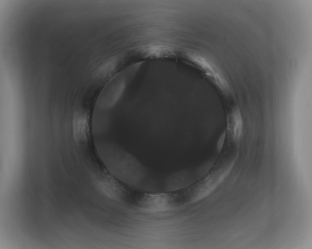 X0000112430127200908211208