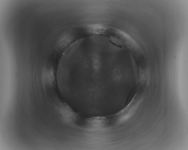 X0000112430128200908211208