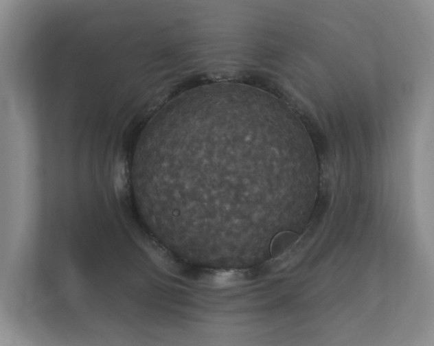 X0000112430130200908211208