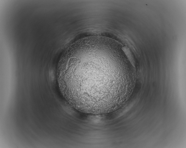 X0000112430131200908211208
