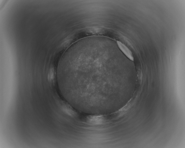 X0000112430132200908211208