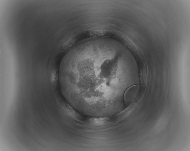 X0000112430134200908211208