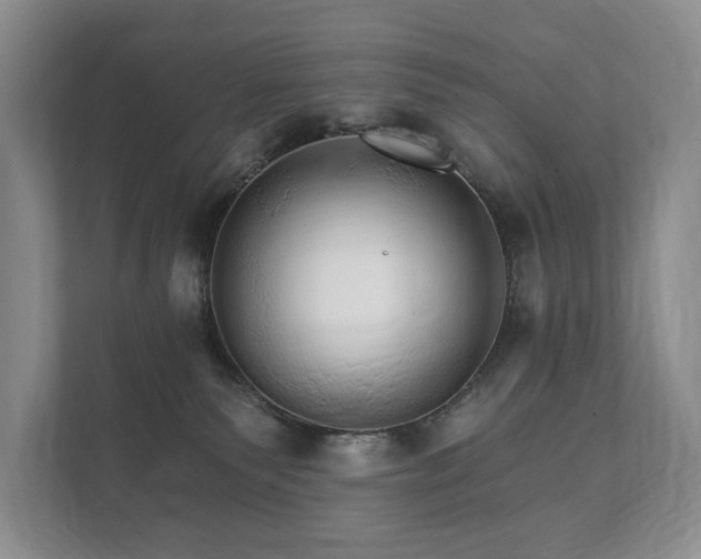 X0000112430135200908211208