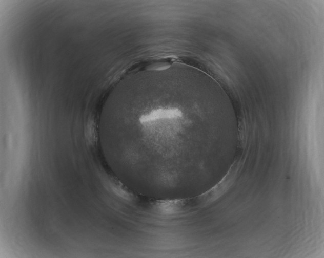 X0000112430136200908211208