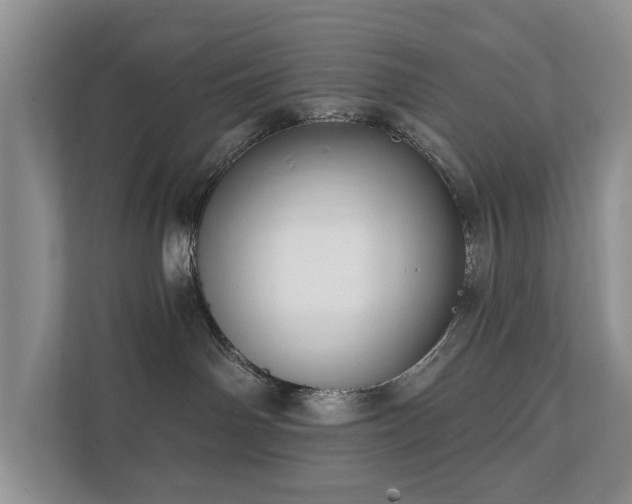 X0000112430142200908211208