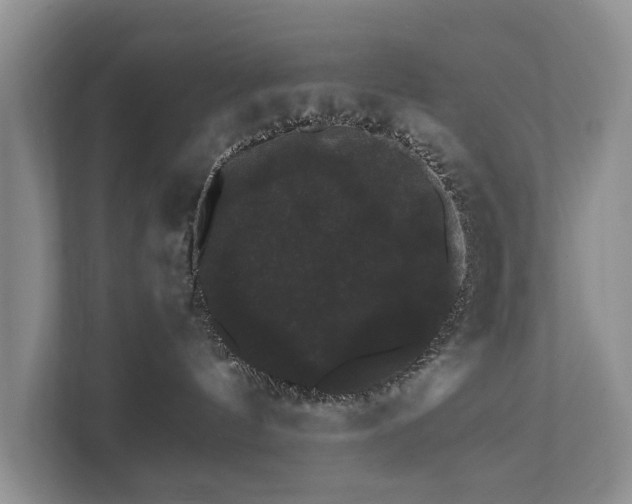 X0000112430144200908211208